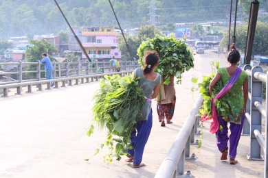 Nepalese Leaf Carriers - Nonprofit Marketing Photography